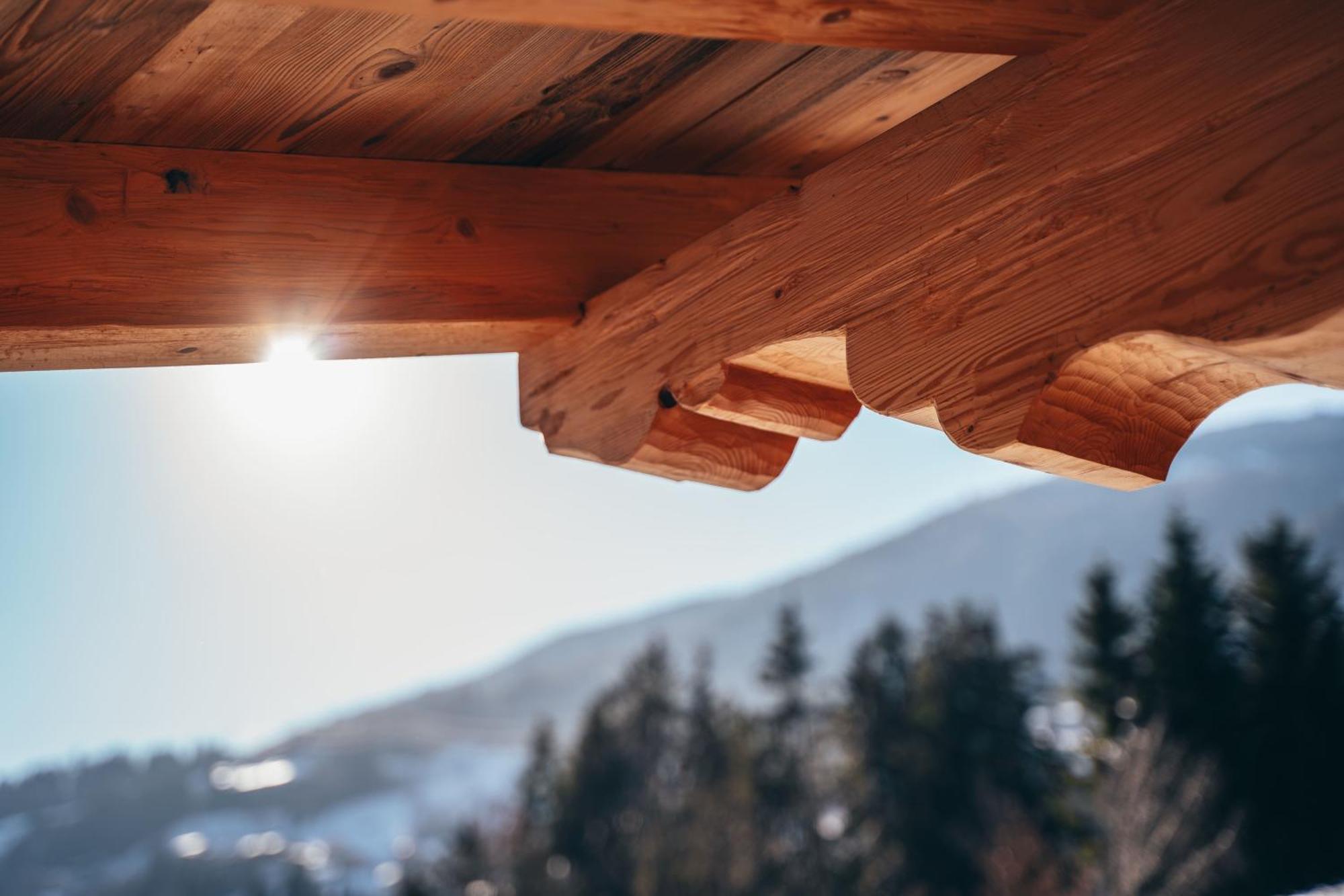 Chalet Wildruh Ried im Zillertal Εξωτερικό φωτογραφία