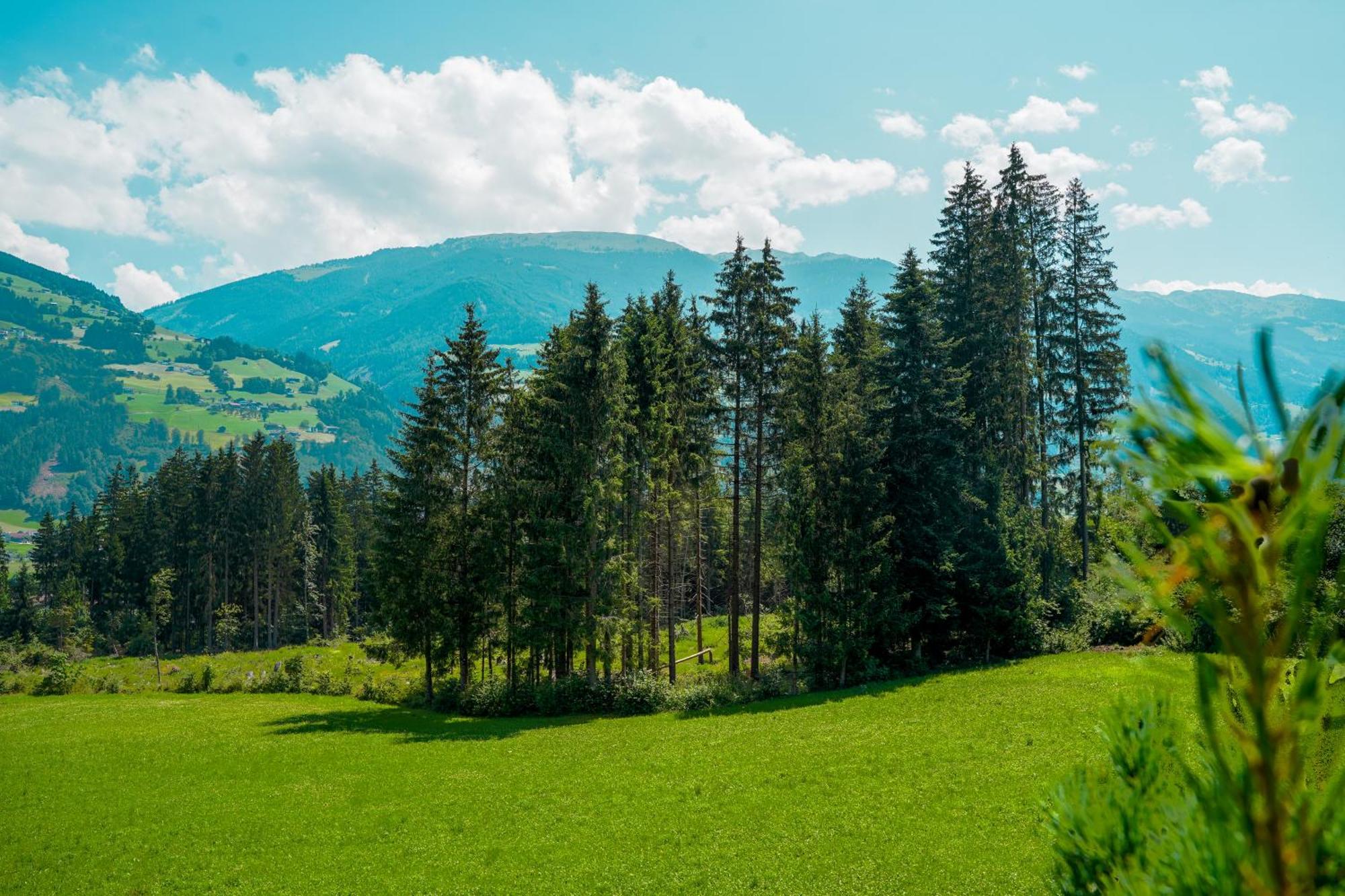 Chalet Wildruh Ried im Zillertal Εξωτερικό φωτογραφία