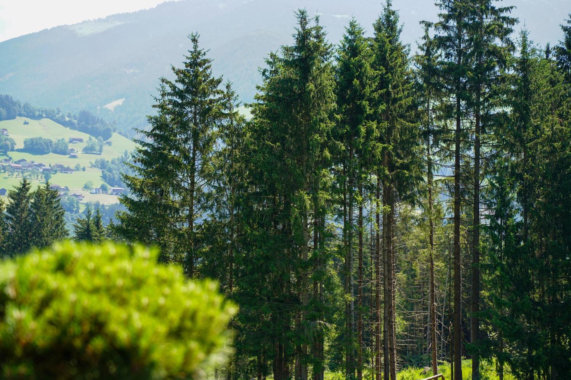 Chalet Wildruh Ried im Zillertal Εξωτερικό φωτογραφία